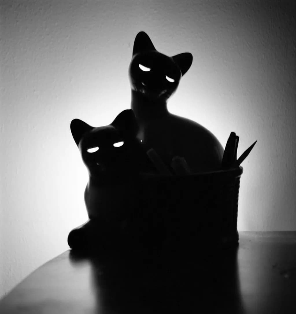 Silent Watchers