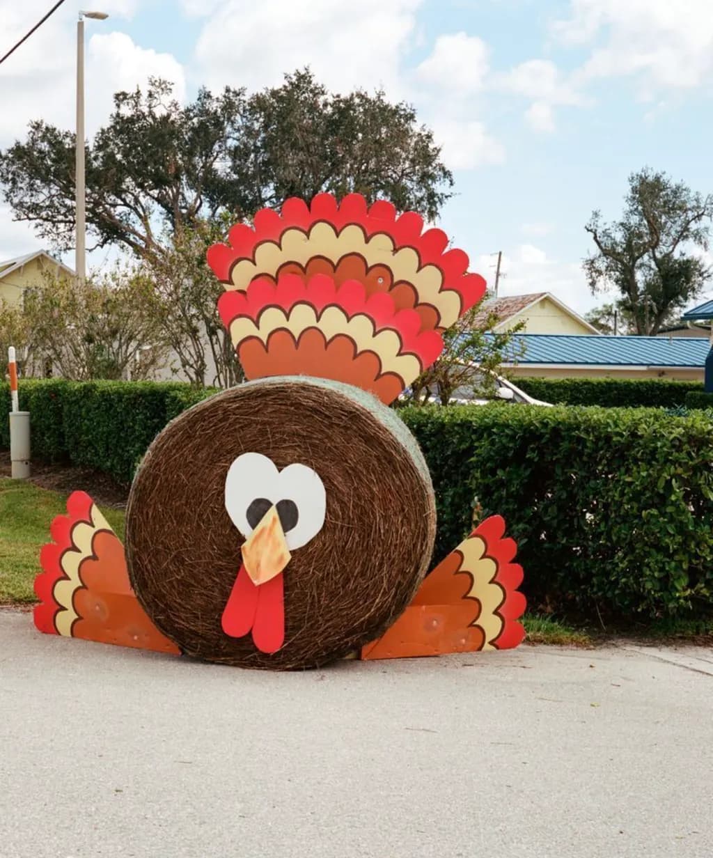 Harvest Turkey Display