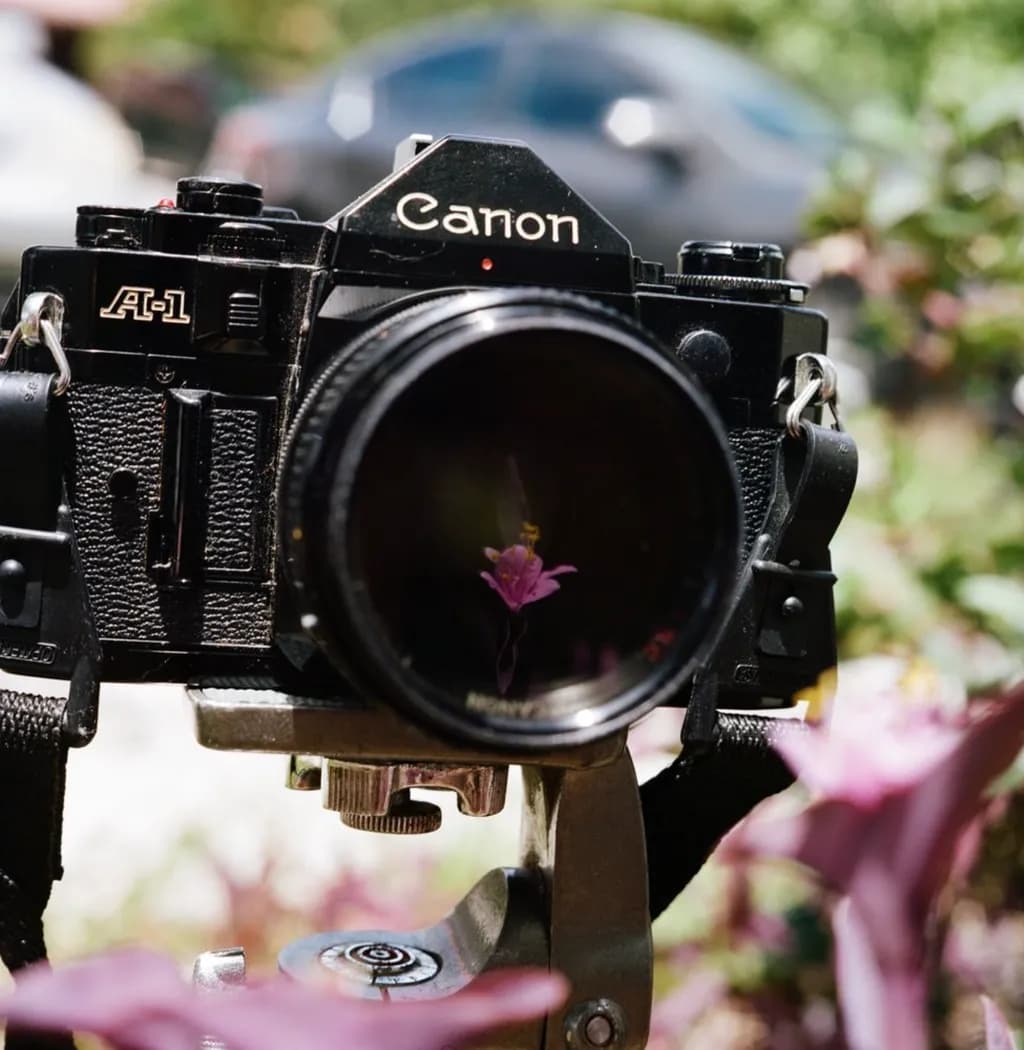 Canon A-1 Reflection