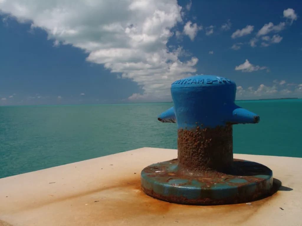 Rust and Tide