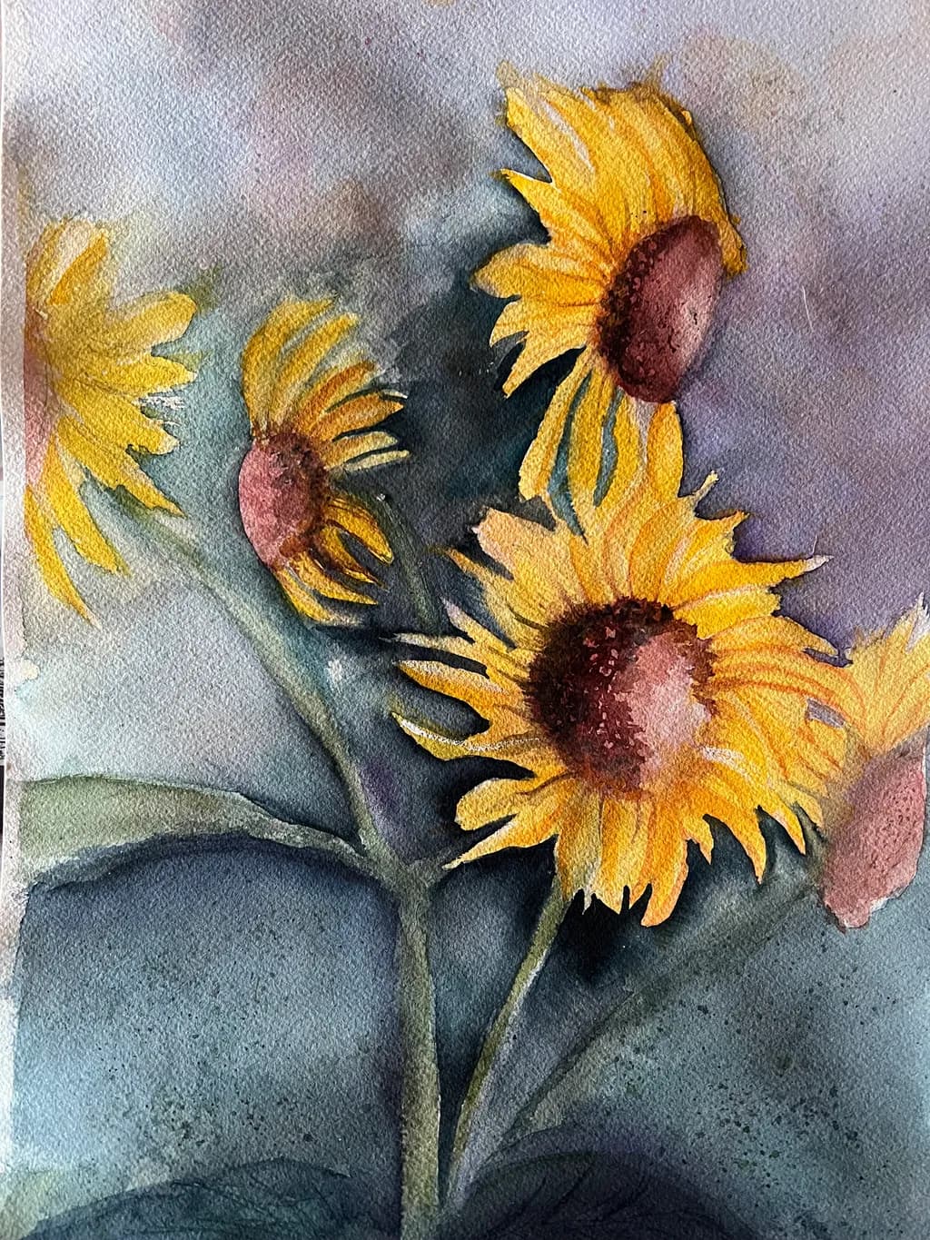 Sunflower Serenade