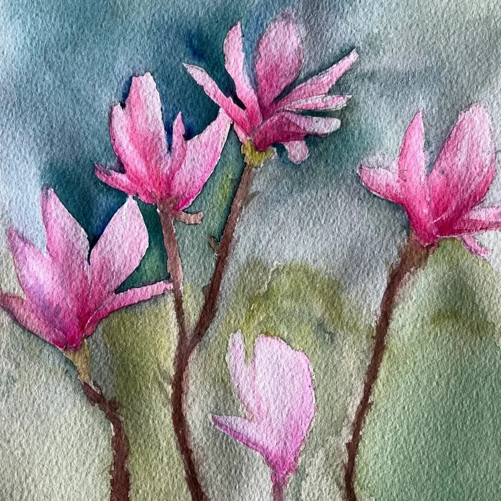 Pink Blossoms