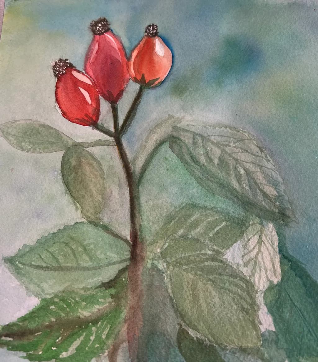 Rosehip Trio