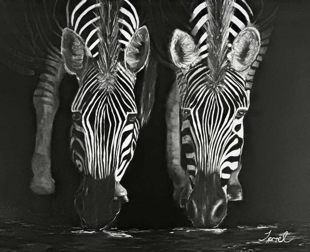 Zebra Reflections