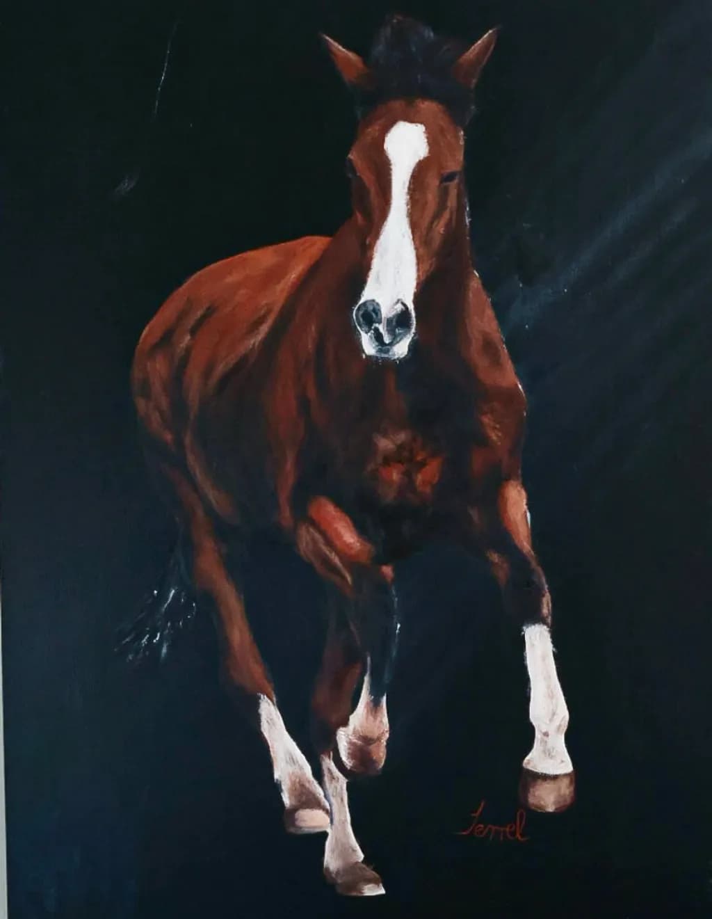 Galloping Majesty