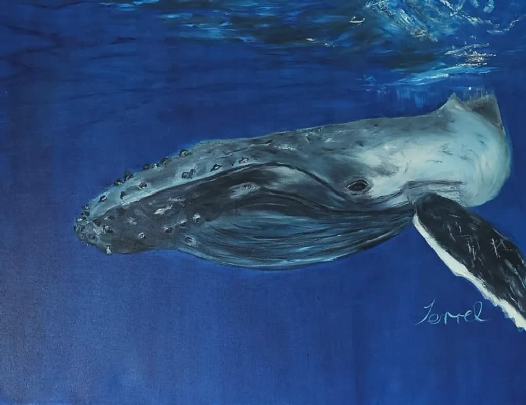 Humpback Majesty