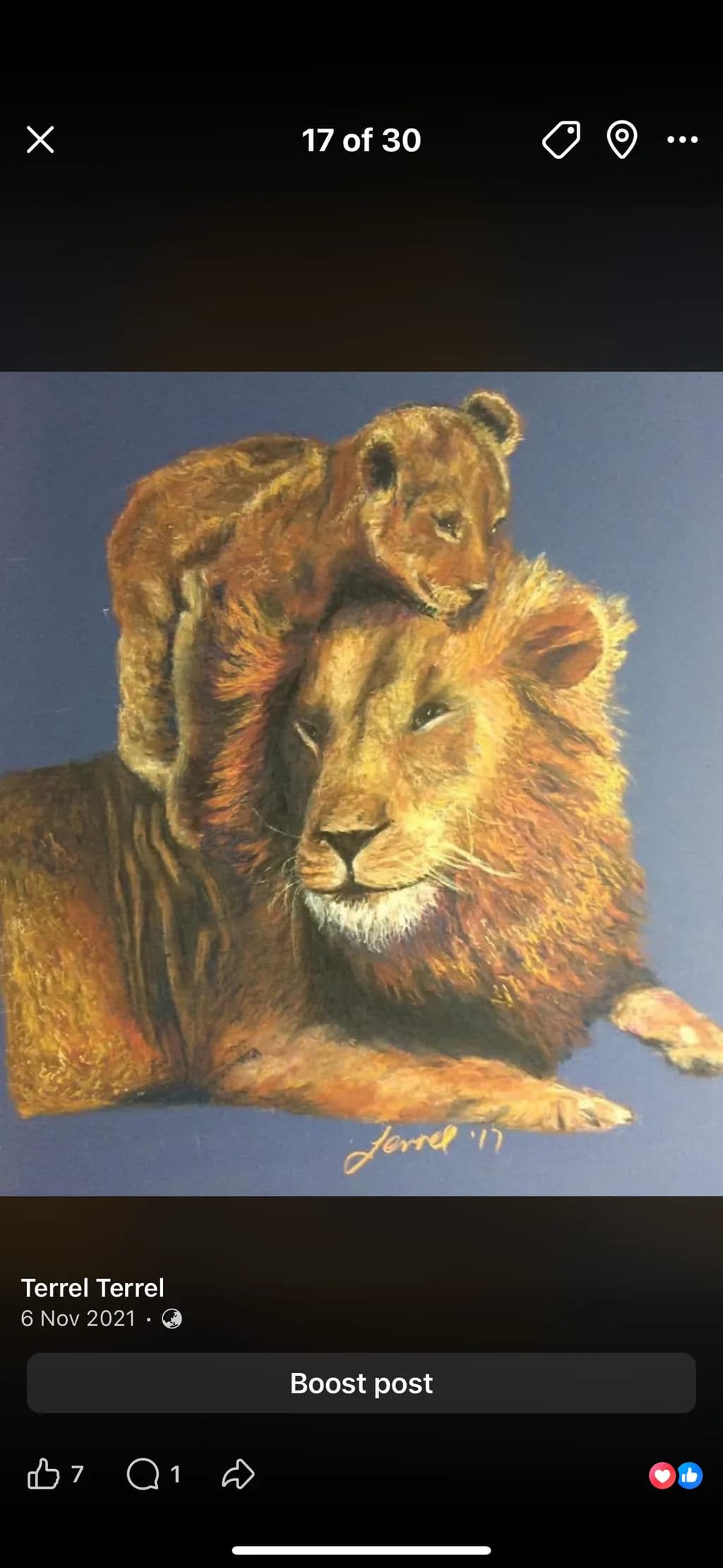 Lioness Embrace