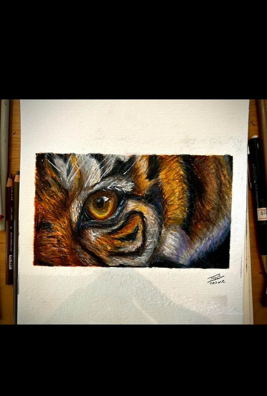 Owl in Shadow