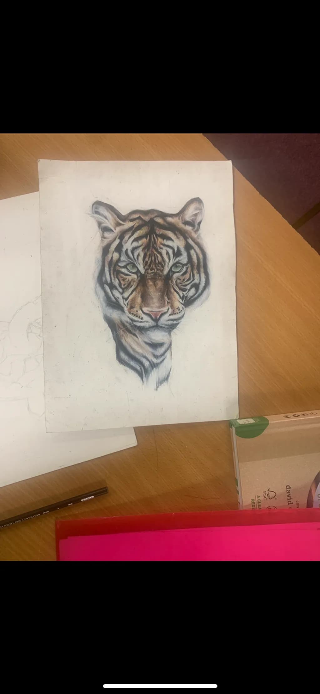 Majestic Tiger Portrait