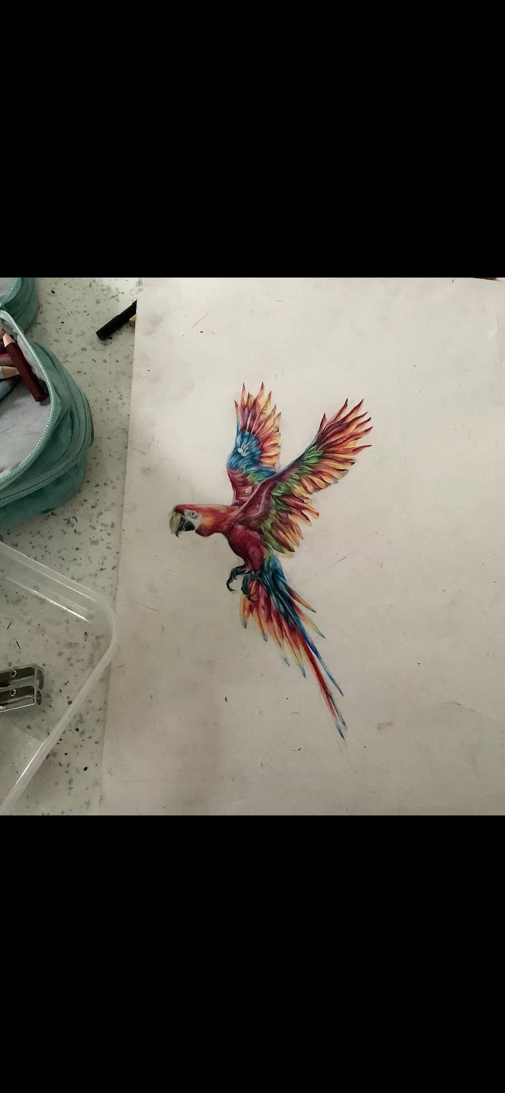 Colorful Flight
