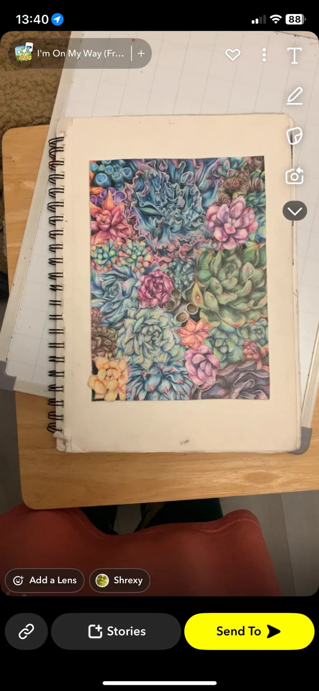 Succulent Symphony