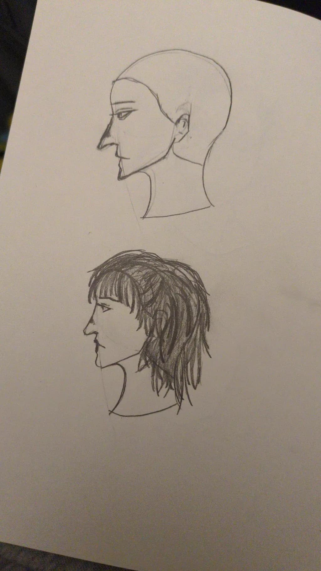 Profile Studies