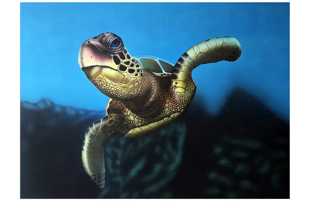 Turtle Serenity