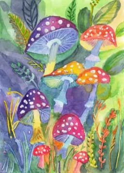 Mushrooms in Bloom
