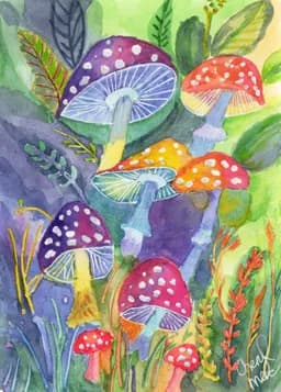 Fun Mushrooms
