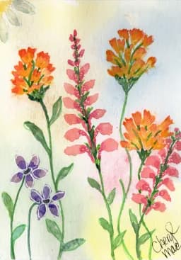 Wildflowers in Orange Glow