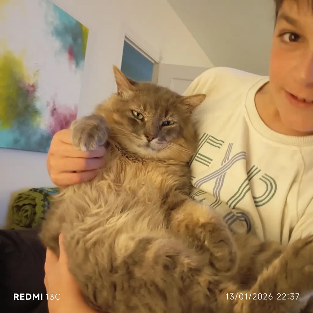 Cozy Companionship