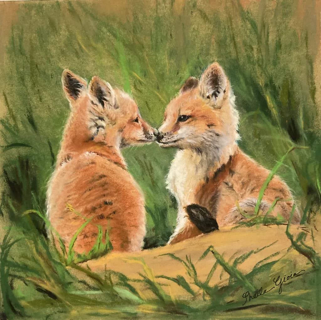 Fox Cubs' Nose Nudge