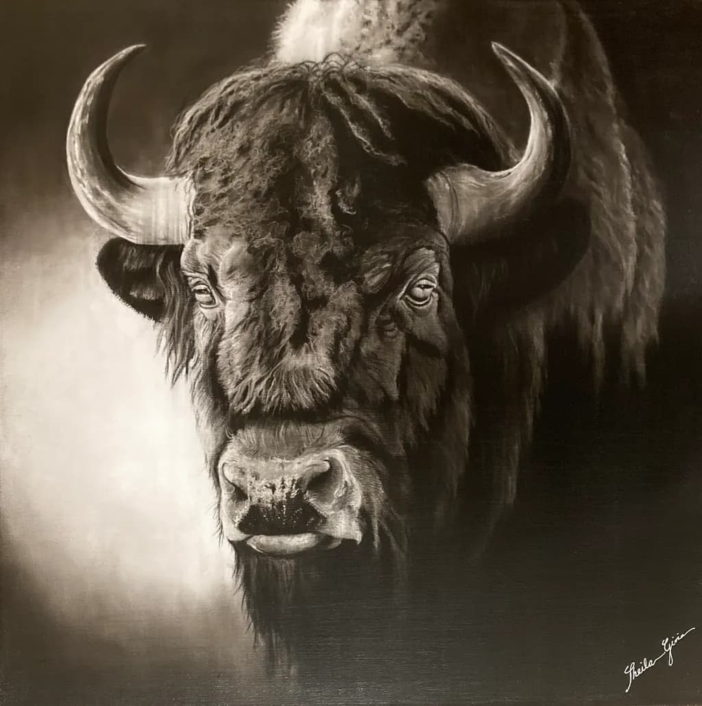 Buffalo Boldness