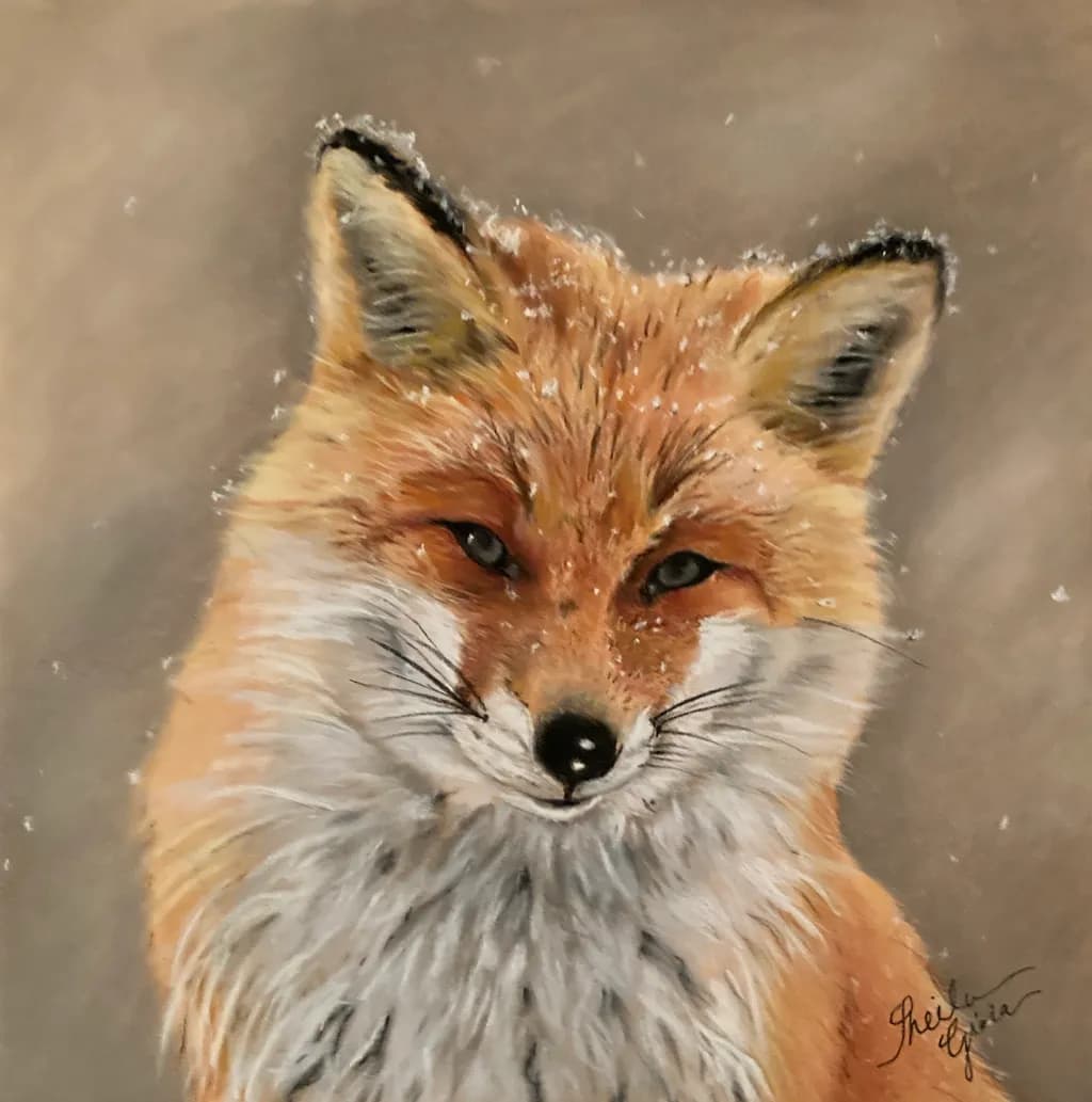 Snow-Kissed Fox Smile