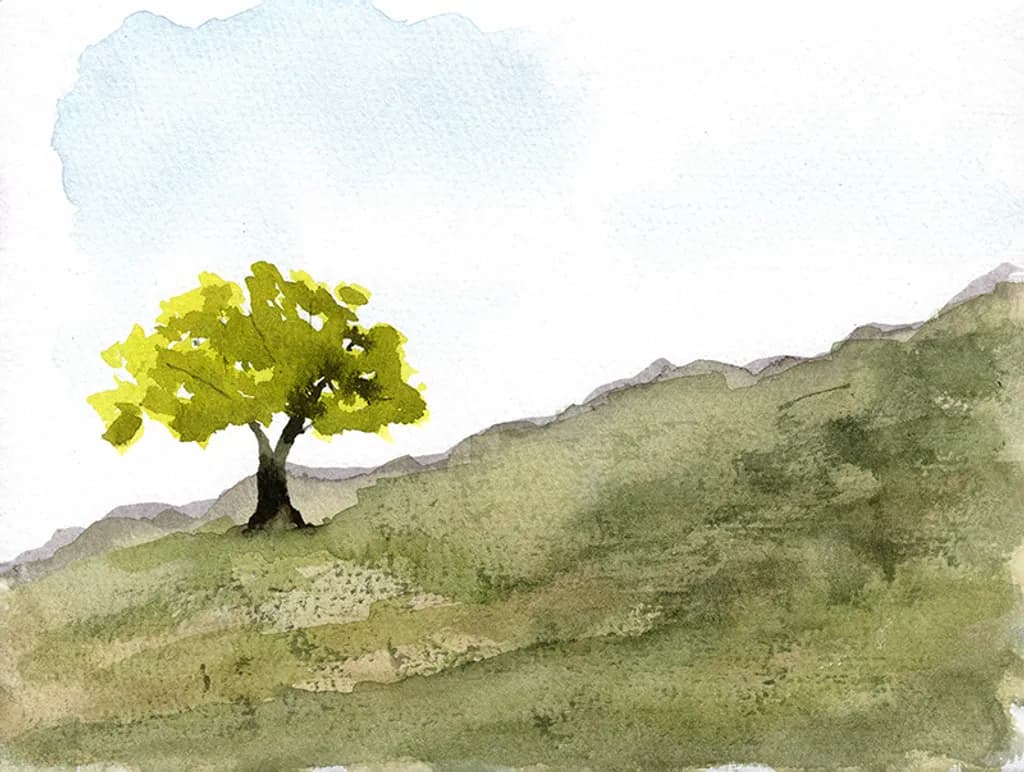 Solitary Green Tree