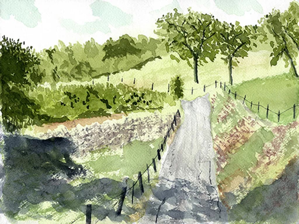 Central Coast Pathway