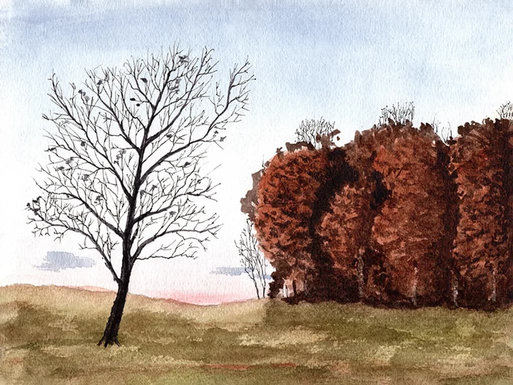 Silent Branches