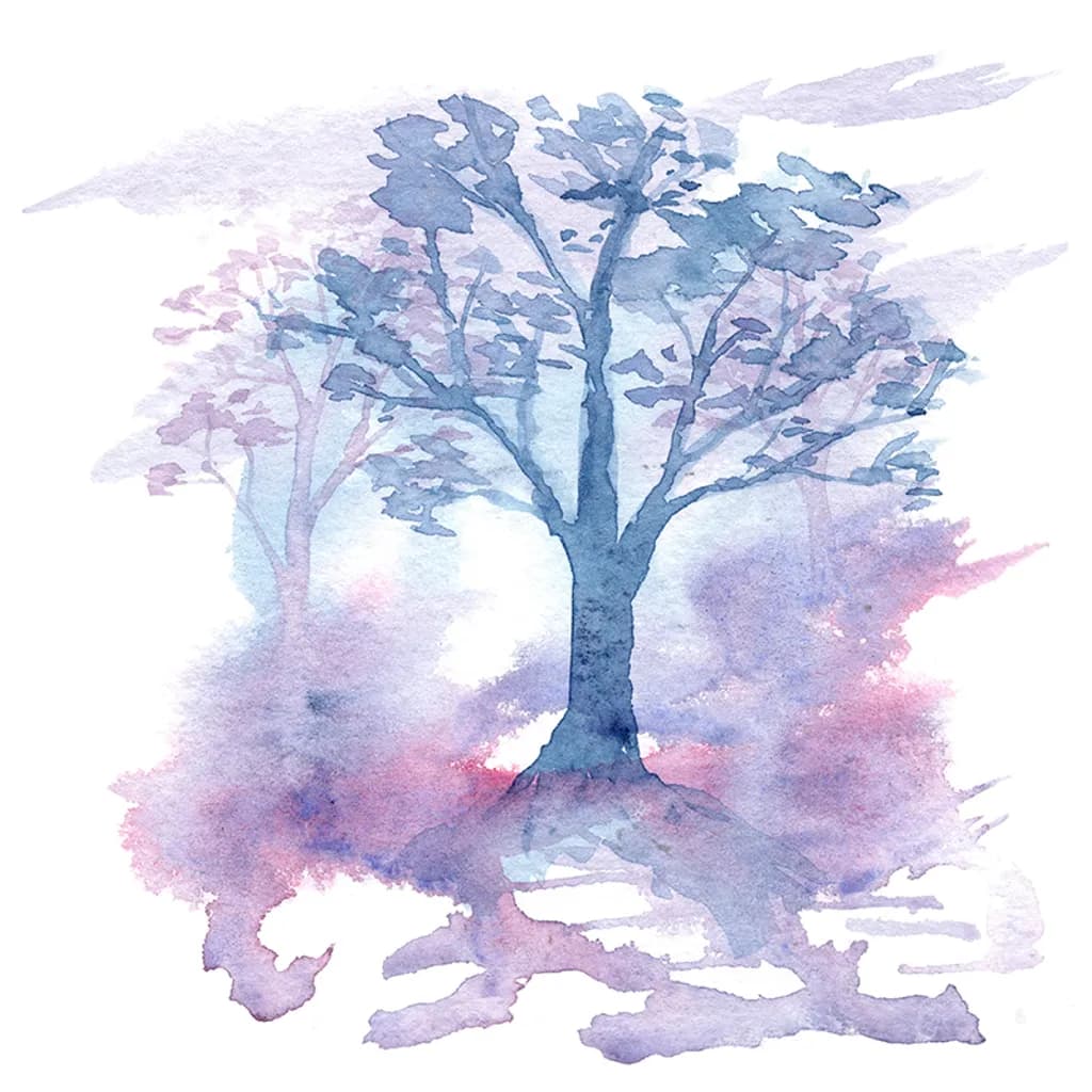 Misty Branches