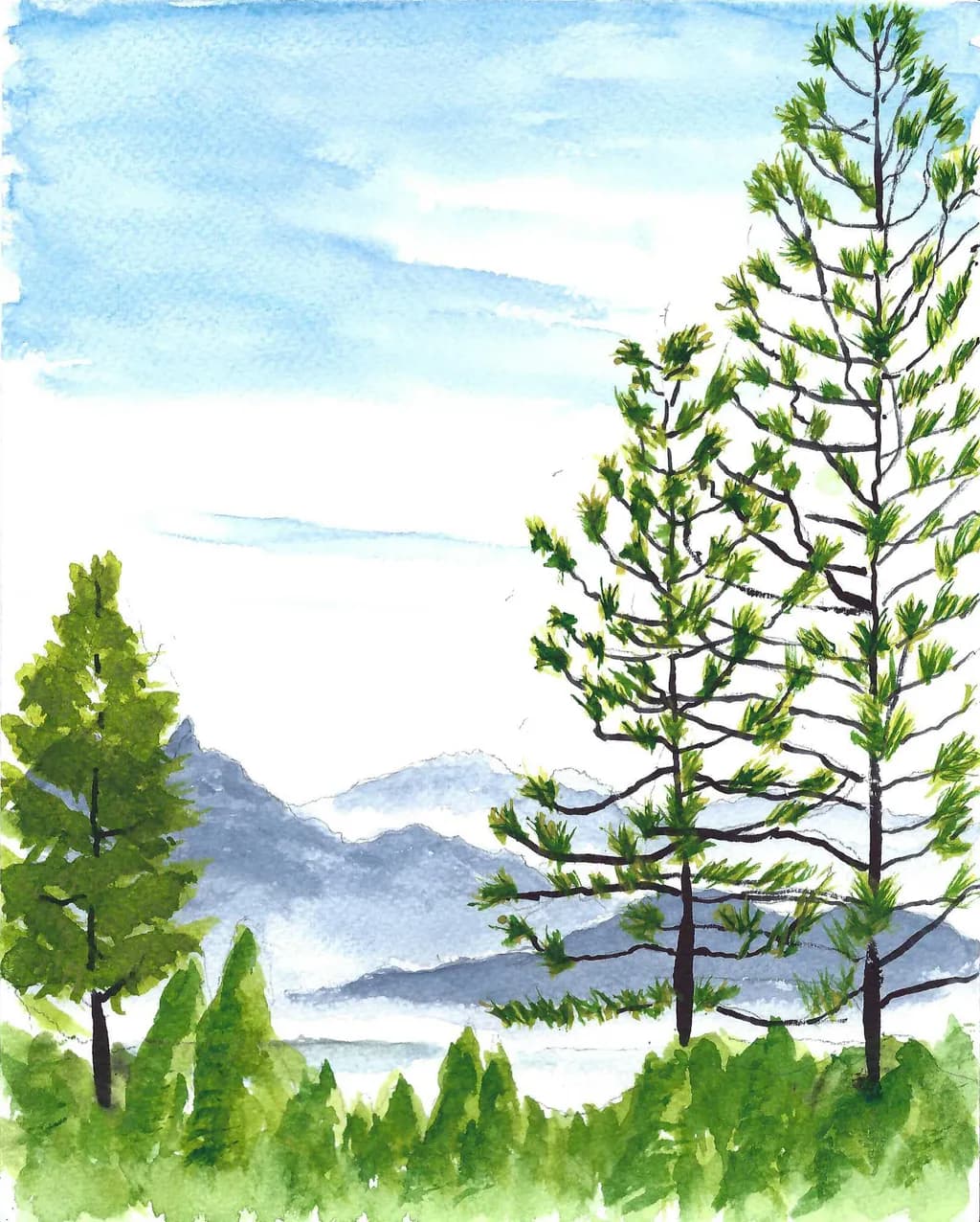 Lake Tahoe Pines