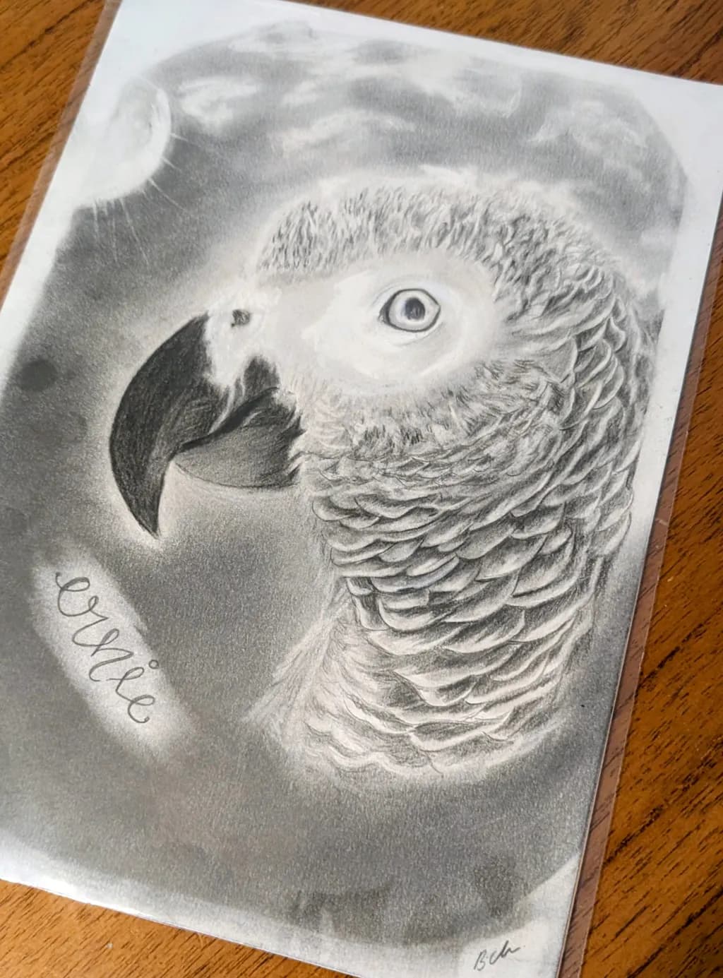 Monochrome Parrot Portrait