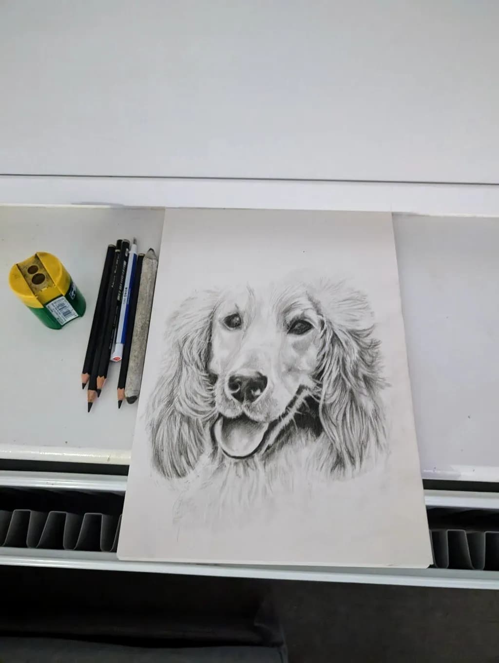 Joyful Canine Portrait