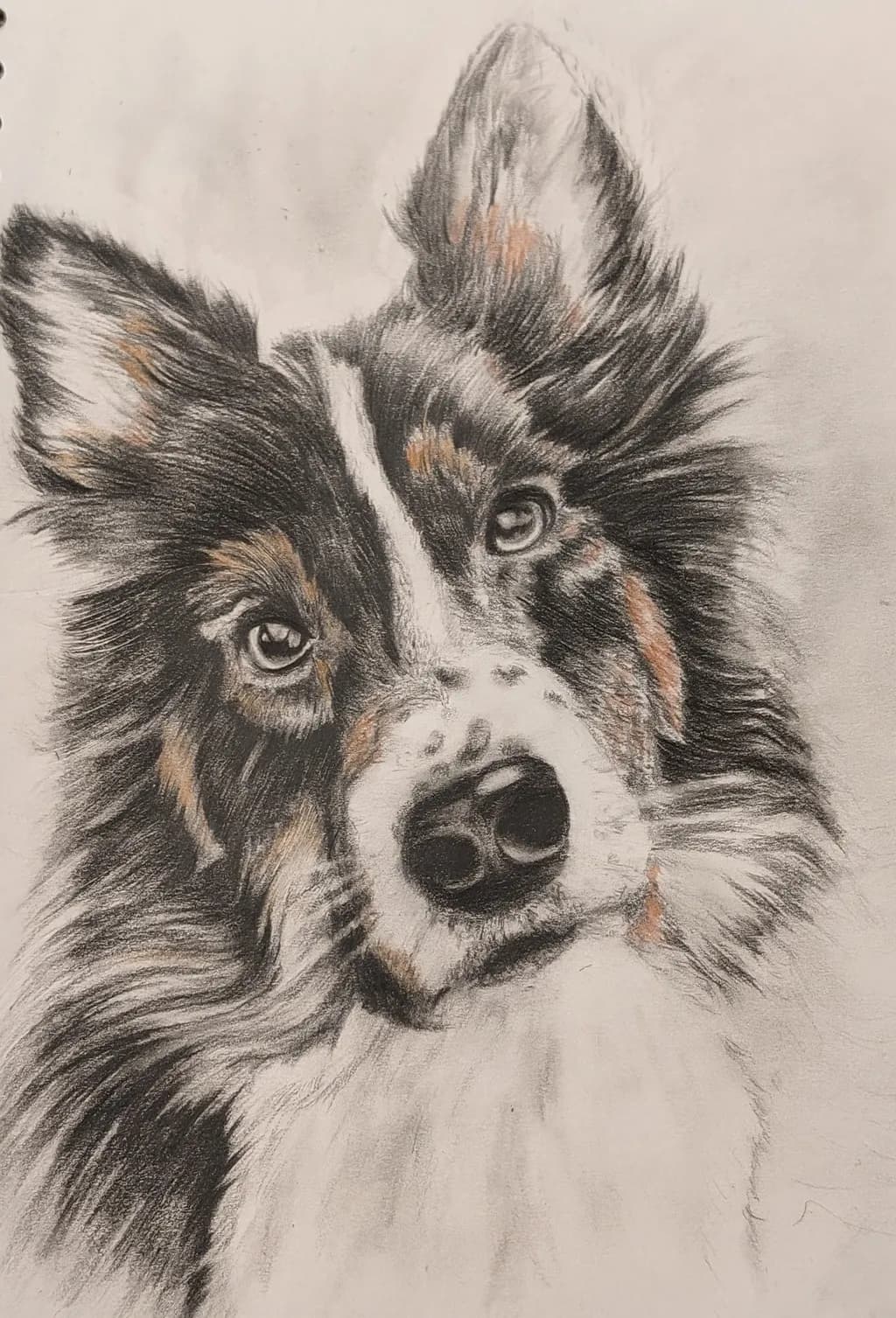 Canine Portrait