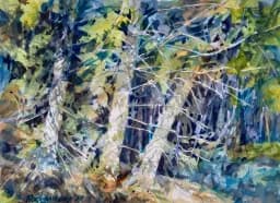White Trunks in Forest
