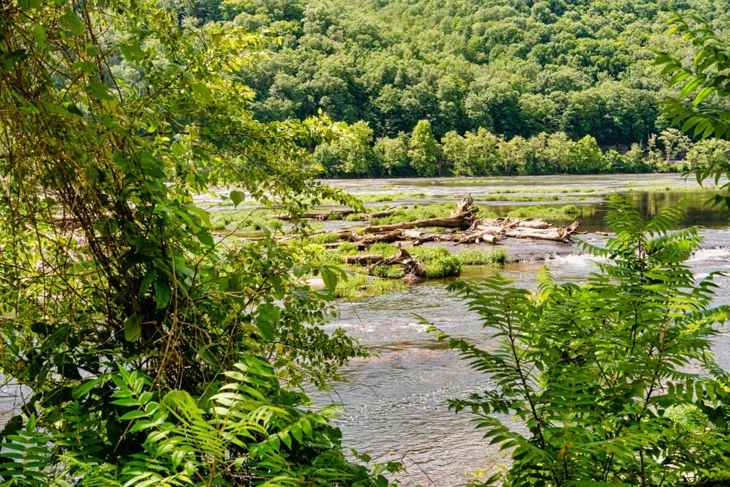 Upstream Sandstone Falls