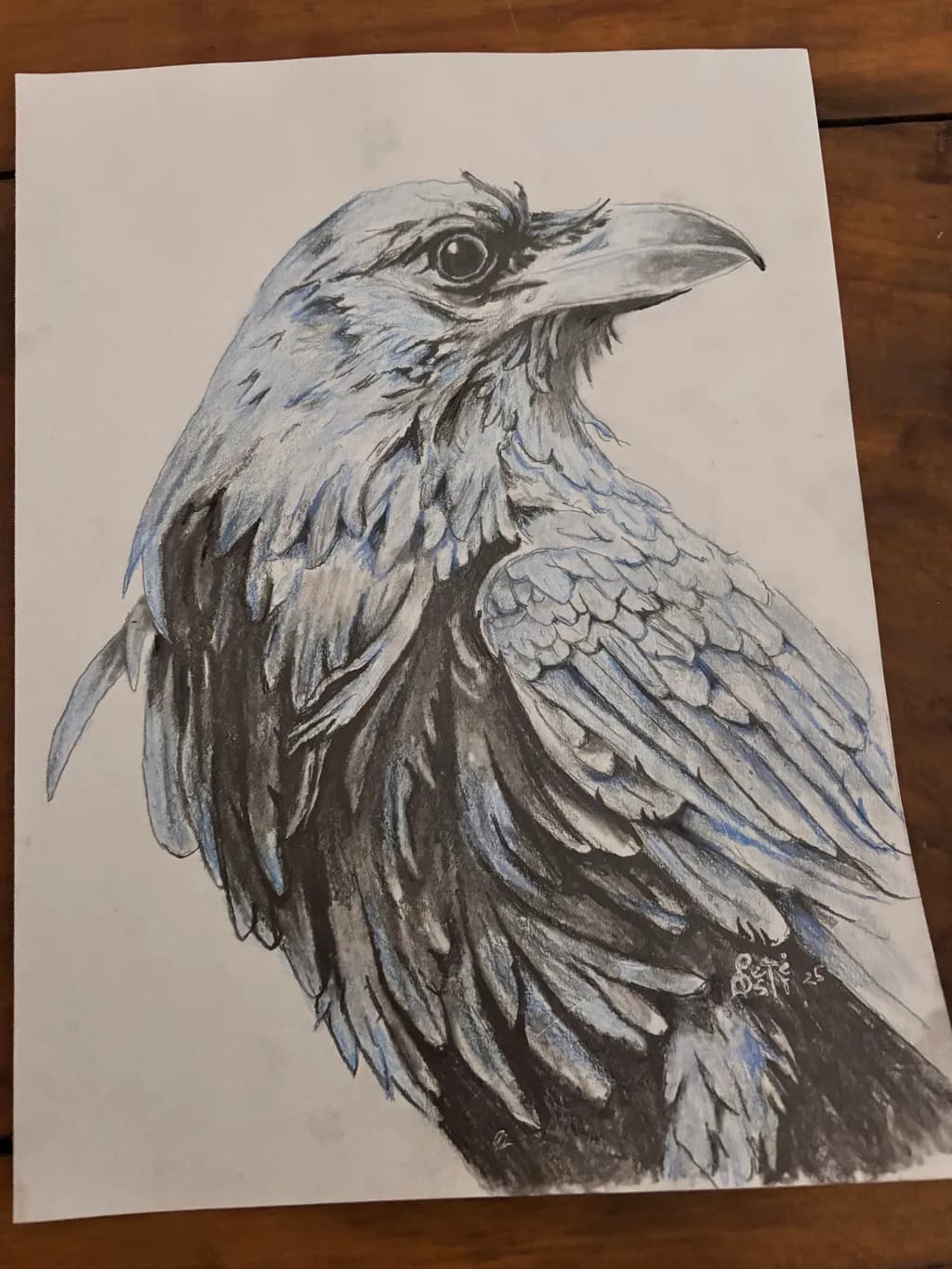 Raven Portrait
