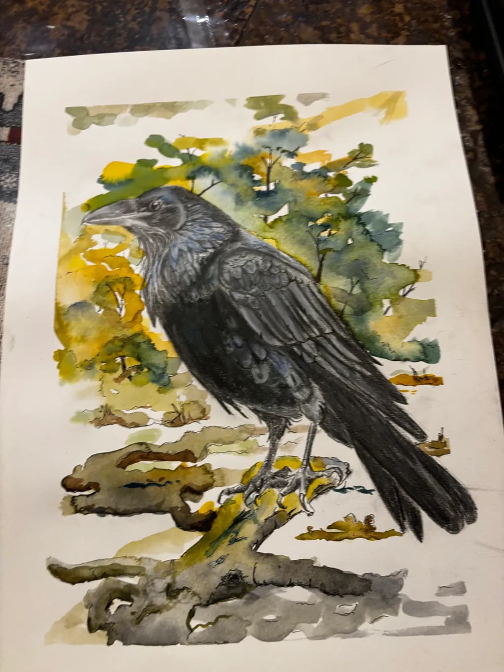 Raven on Branch
