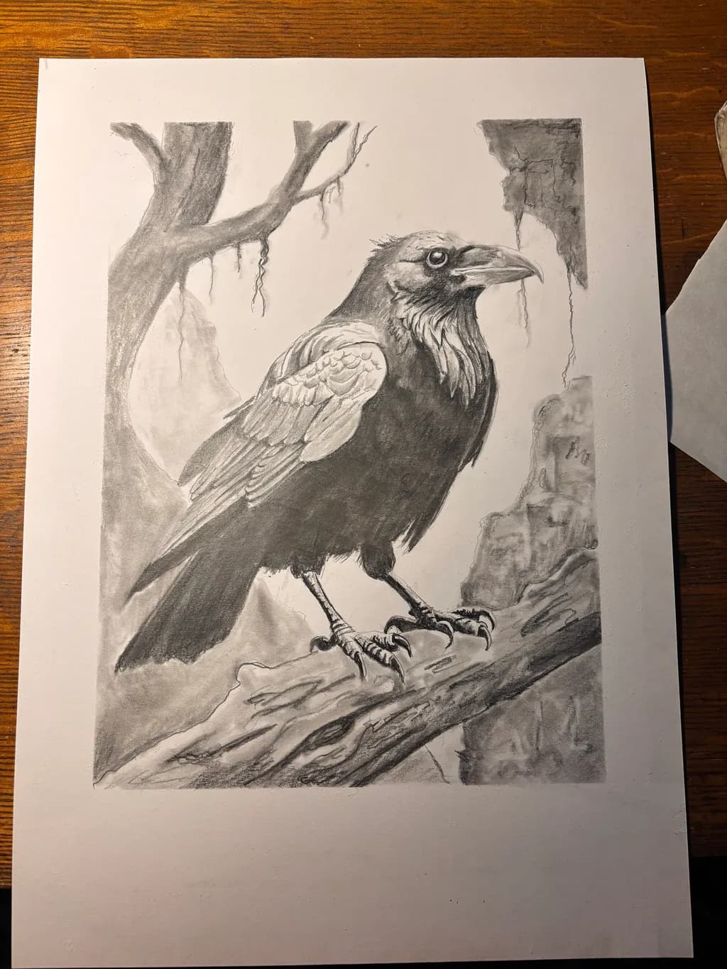 Raven on Branch