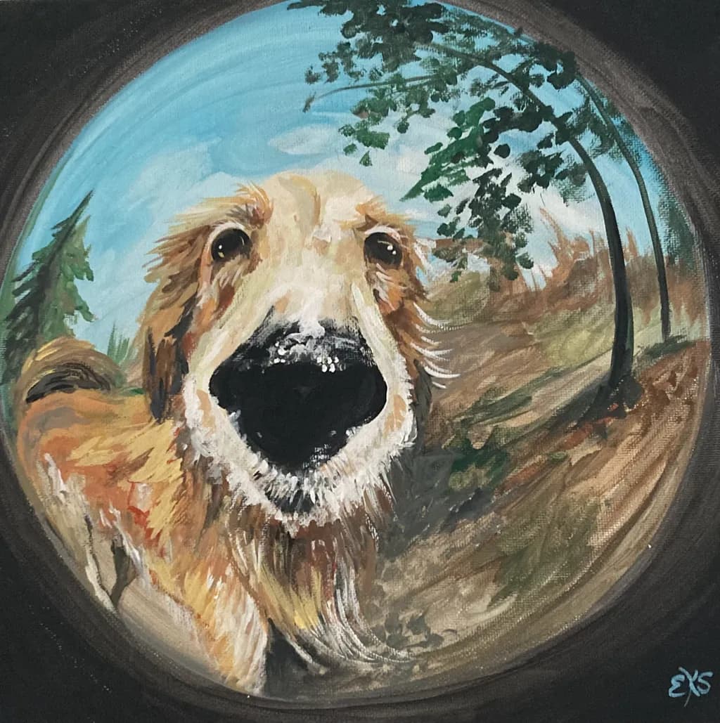 Playful Retriever