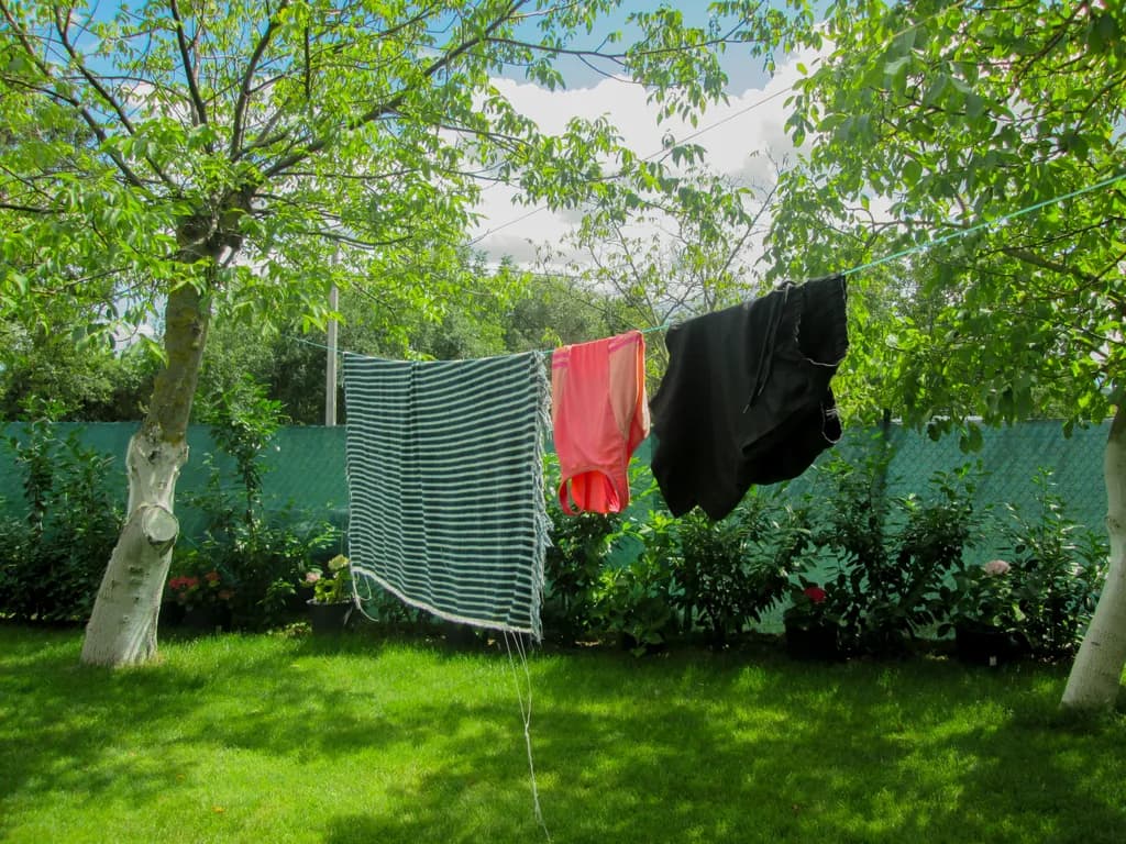 Clothesline Serenity