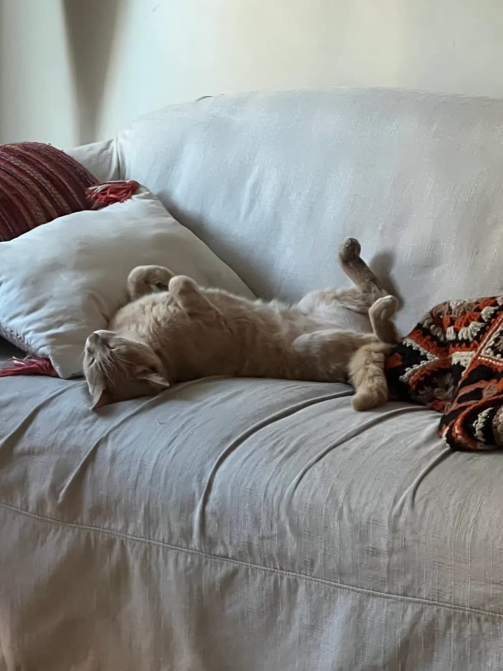 Lazy Afternoon