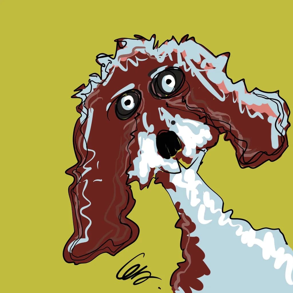 Quirky Canine Portrait
