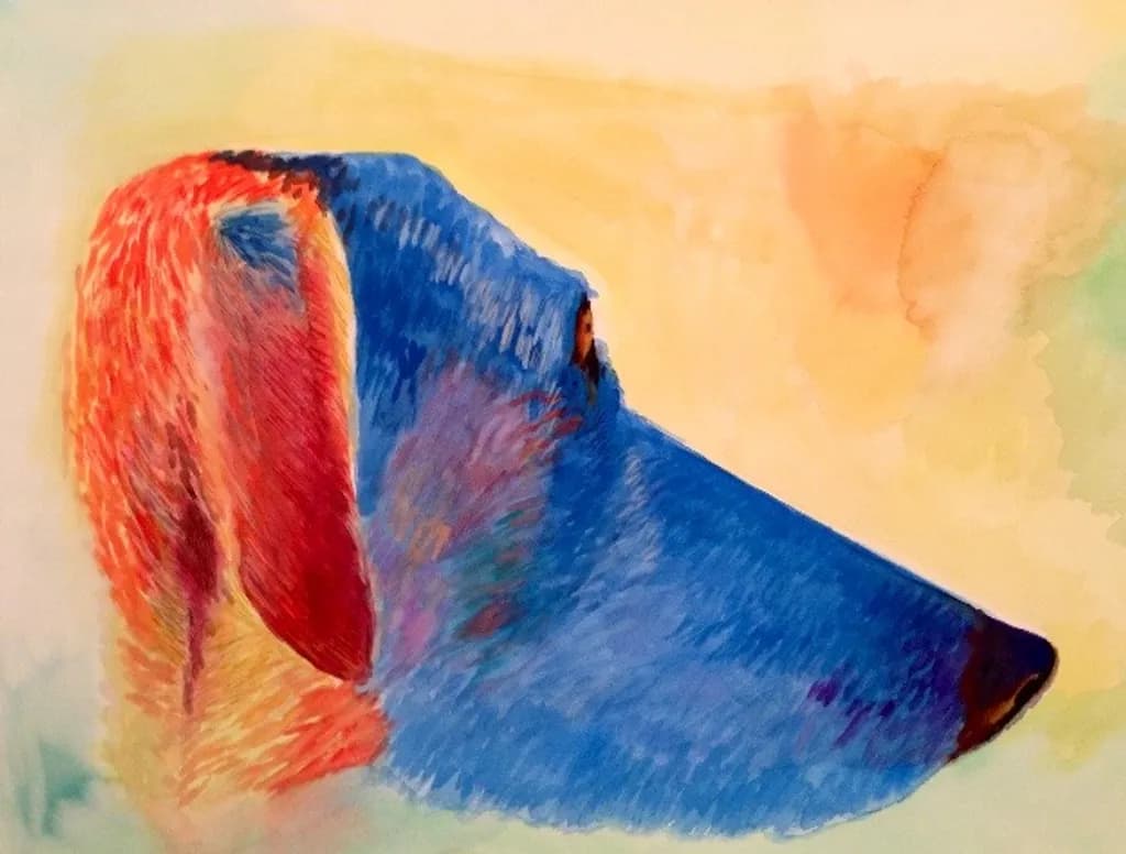 Colorful Canine Profile