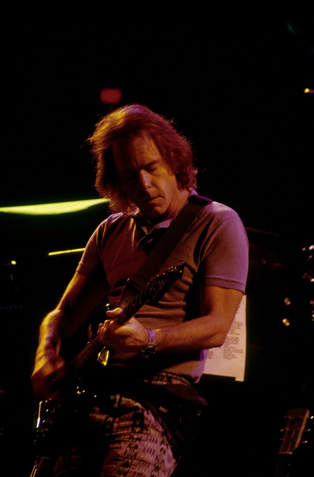 Mickey Hart Live