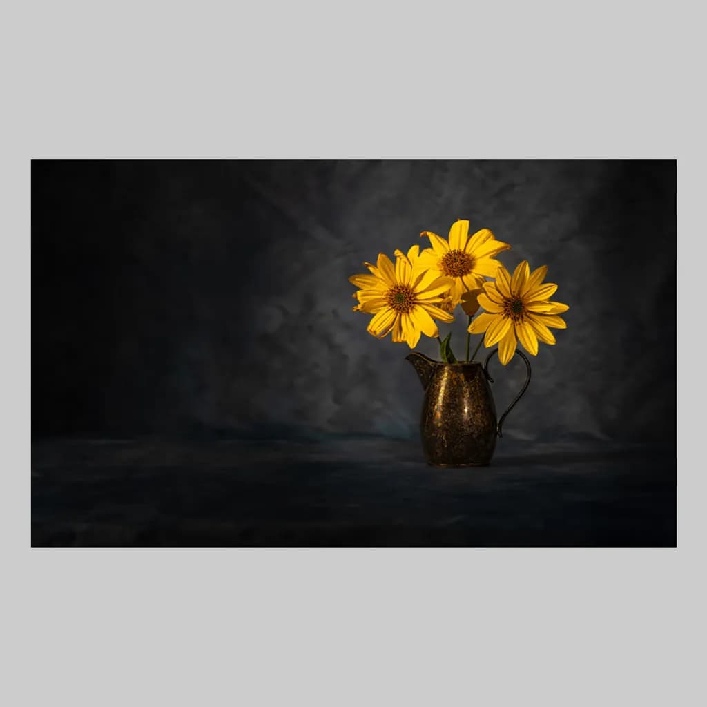 ShadowedBlooms