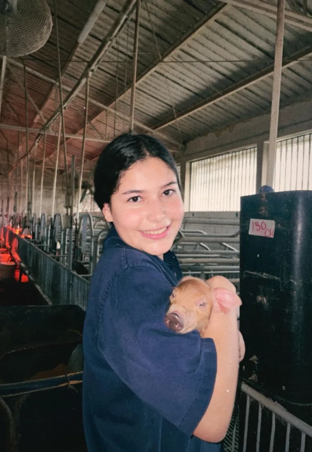 Farmyard Joy