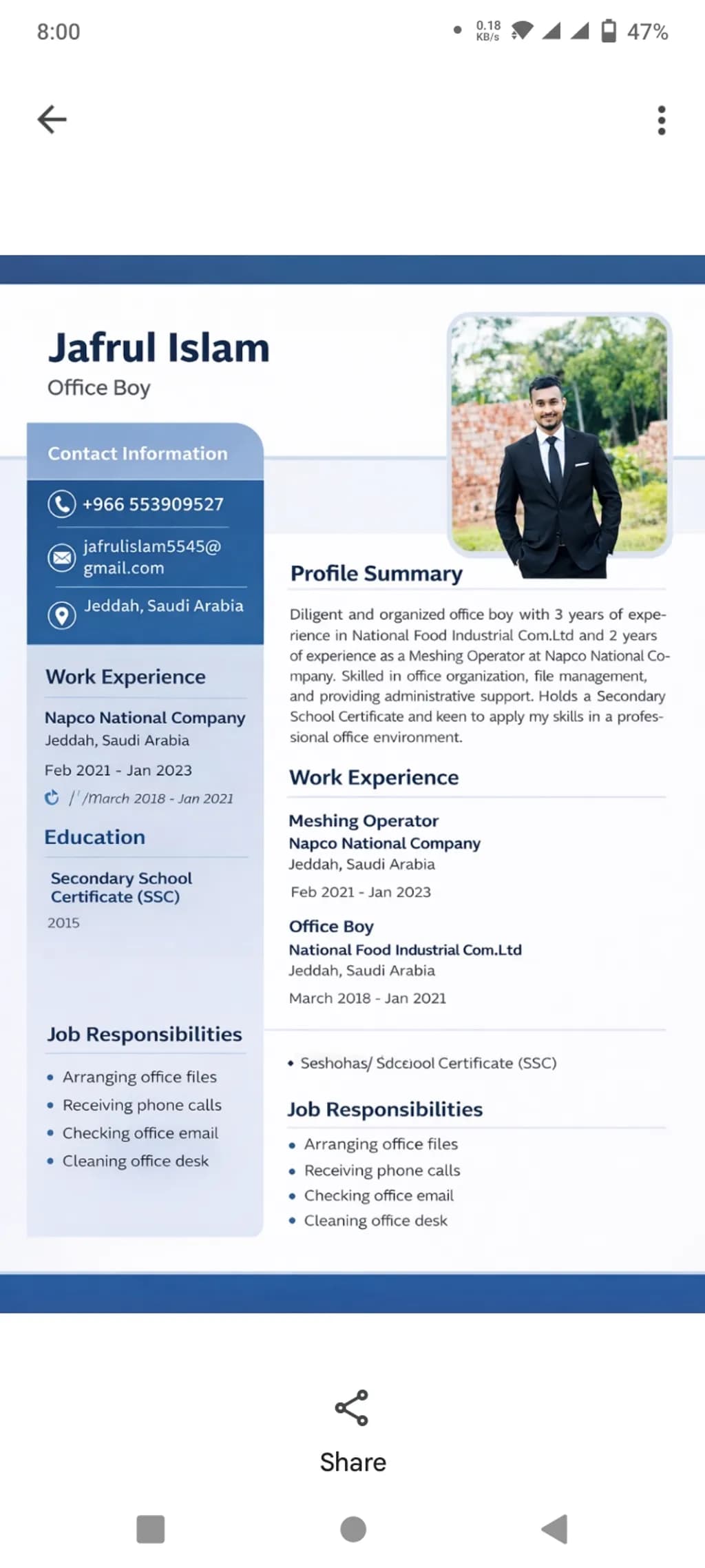 Professional Resume
