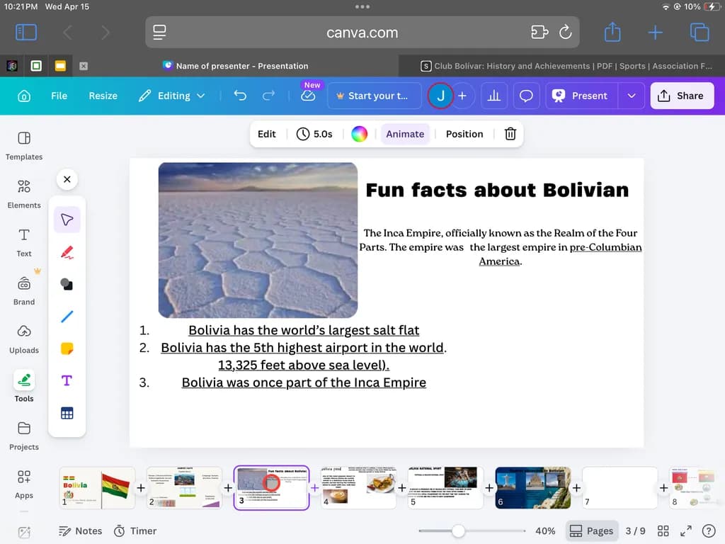 Bolivia's Salt Flats