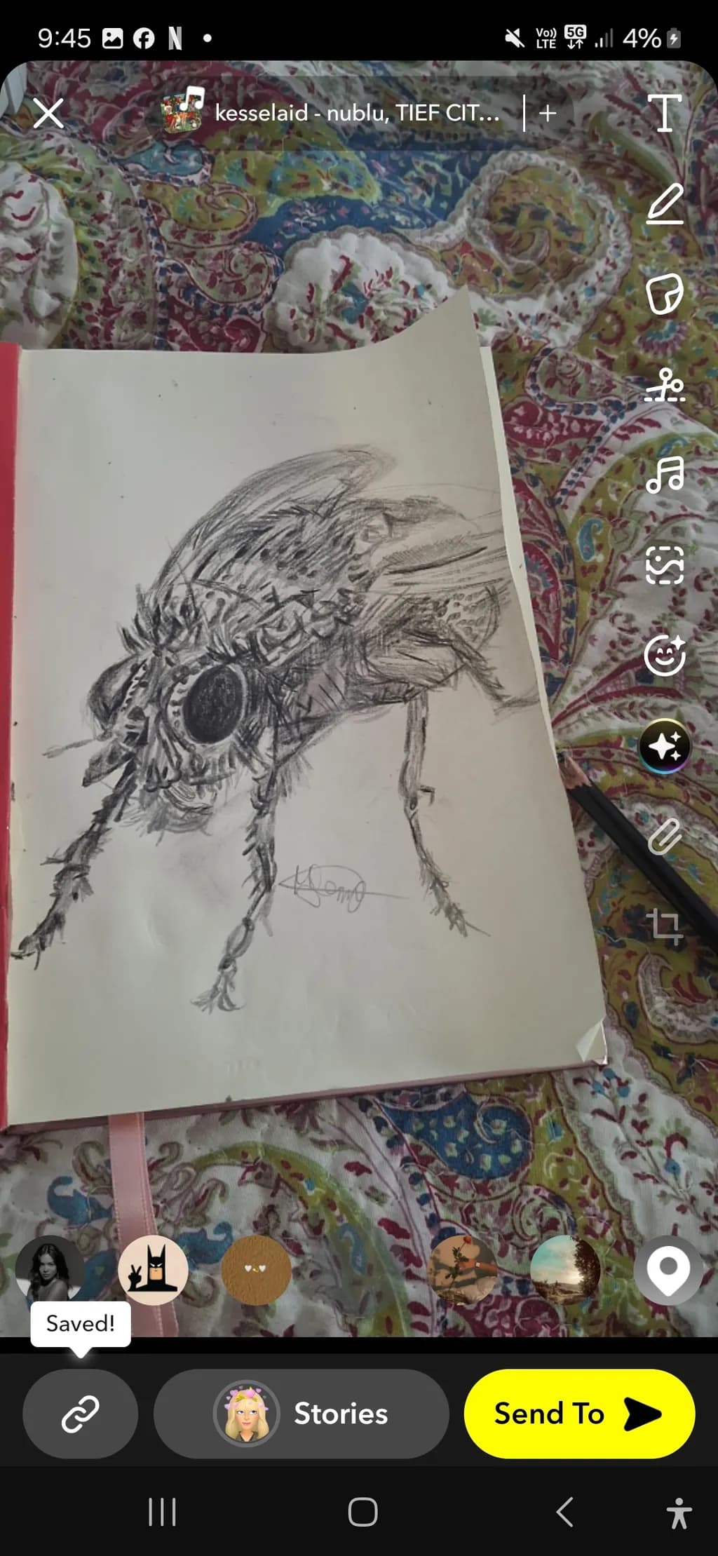 Insect Study