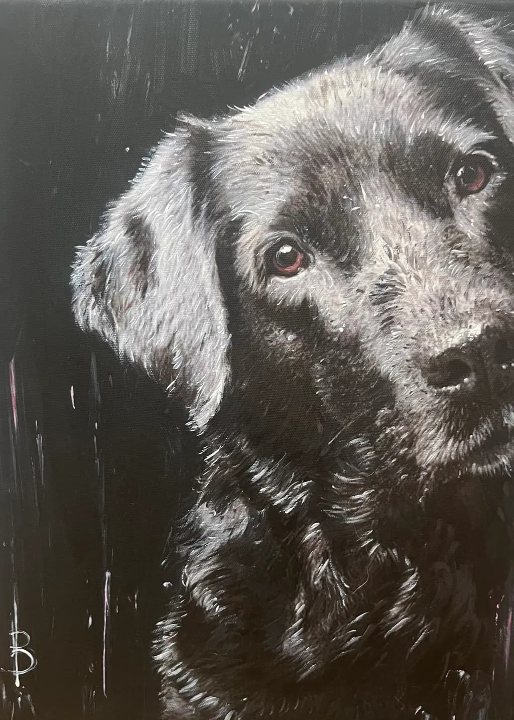 Wet Companion