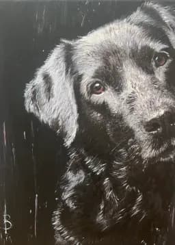 Wet Companion